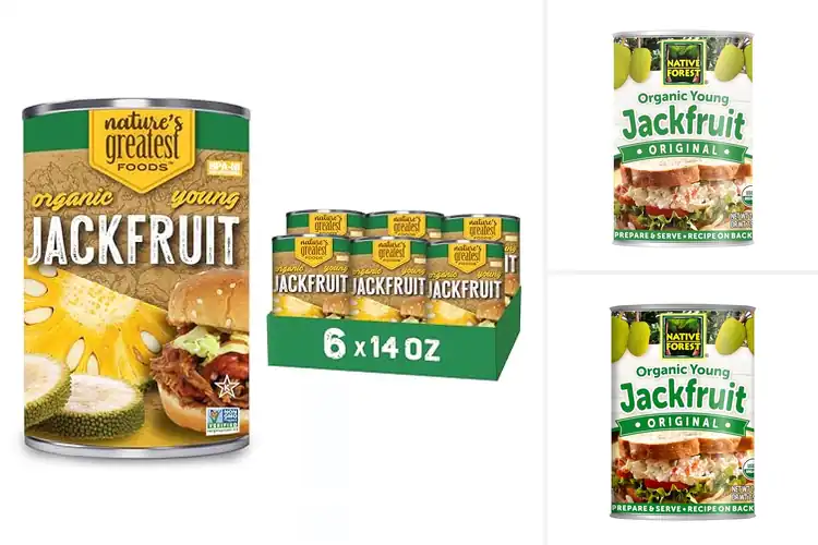 Detailed view of Best Canned Jackfruits